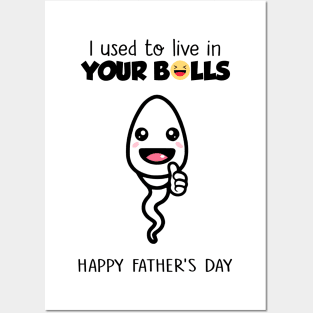 Boy Happy Father's Day I Used To Live In Your Balls Posters and Art